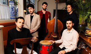 quatre hommes une femme avec des instruments de musique